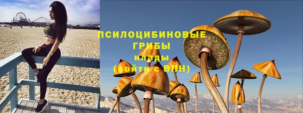 дмт Балахна