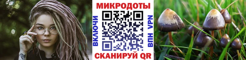 купить сайты Верхний Тагил Галлюциногенные грибы GOLDEN TEACHER