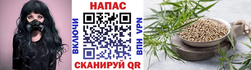 МАРИХУАНА Amnesia  маркетплейс телеграм  Верхний Тагил  как найти закладки 